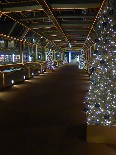 091210_1929~01.jpg