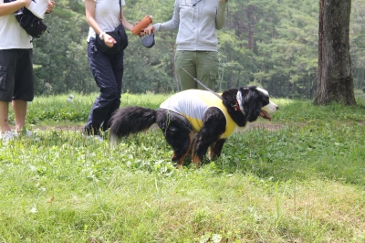 爽快ウンティ