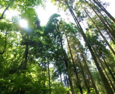 清滝