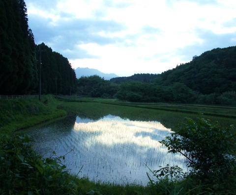 おさんぽ