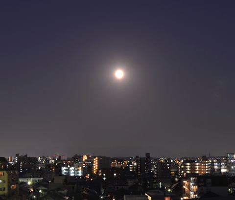 中秋の名月2013