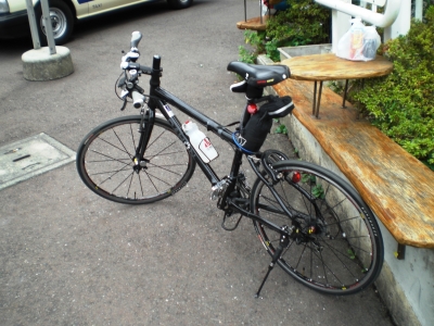 DAHON CATENZA P18