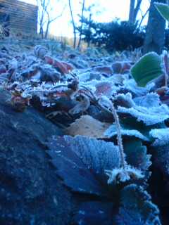 20131225110352.jpg