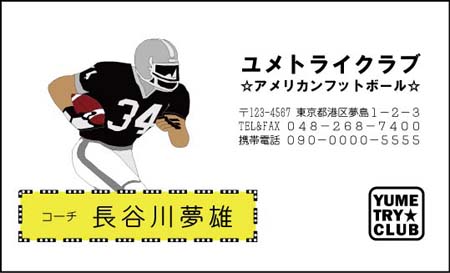 ¥¢¥á¥ê¥«¥ó¥Õ¥Ã¥È¥Ü¡¼¥ë̾»É DS-10