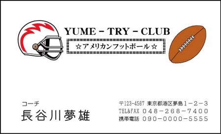 ¥¢¥á¥ê¥«¥ó¥Õ¥Ã¥È¥Ü¡¼¥ë̾»É DS-11