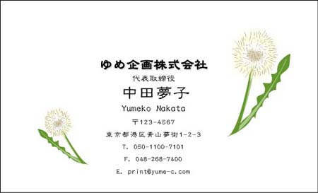 ²Ö¥¤¥é¥¹¥È̾»É HB-10