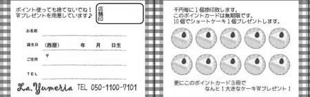 ¥Ý¥¤¥ó¥È¥«¡¼¥É PAU-02B