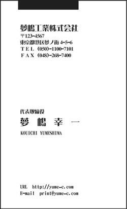 ¥Ó¥¸¥Í¥¹Ì¾»É¡Ê½Ä¡Ë£Á£Ô-08
