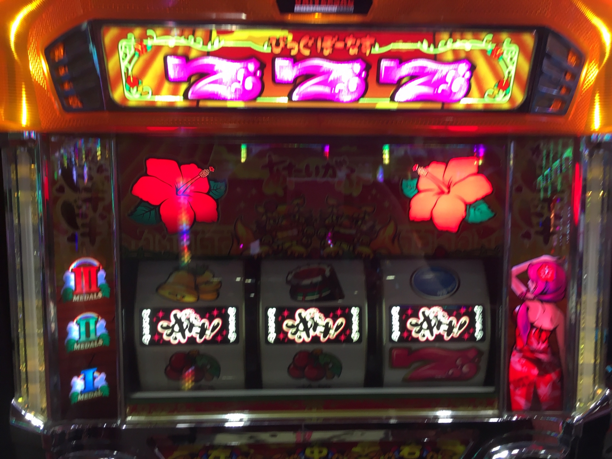 ²¥É¥£