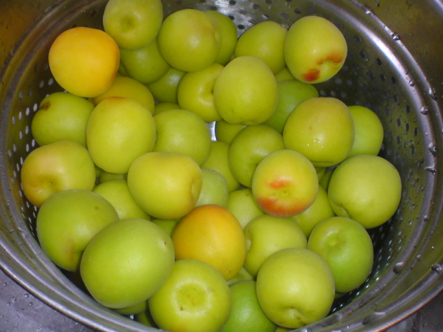 20100616062910.jpg