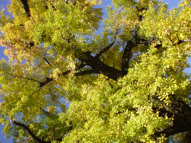20111128023524.jpg