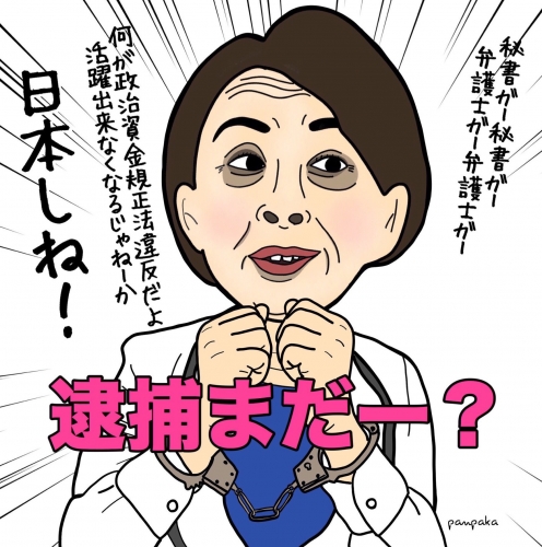 パコリーヌでお馴染みの山尾志桜里議員 見事に離婚された模様www 記念にガソリン問題の頃の画像をupしてみる Jpg