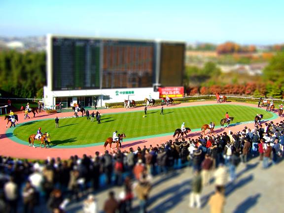 中京競馬場