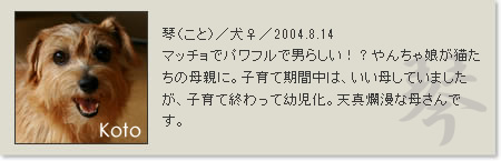 prof_koto