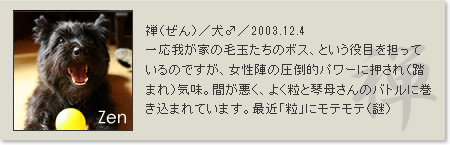 prof_zen