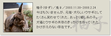 prof_yuzu