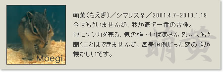 prof_moegi