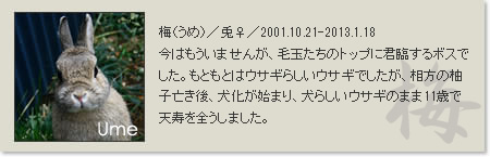 prof_ume2013