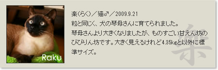 prof_raku_2013