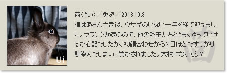prof_ui