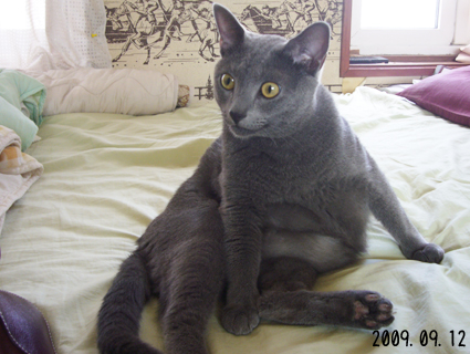 20110912_3.JPG