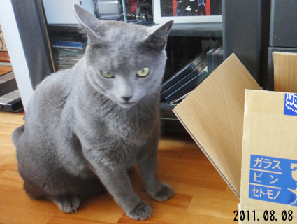 20110912_5.JPG