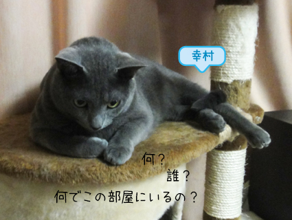20111010_5.jpg