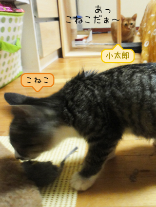 20111010_2.jpg