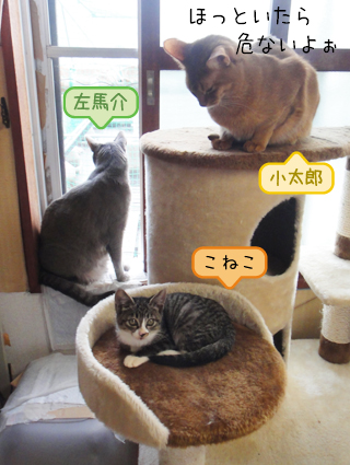 20111010_3.jpg