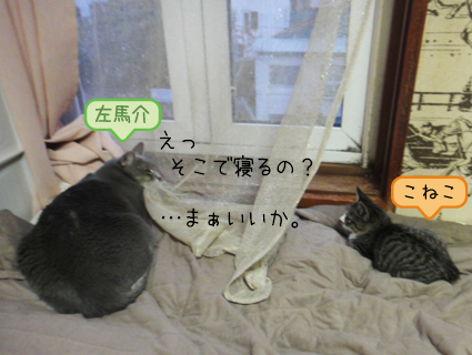 20111010_4.jpg