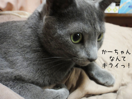 20111105_1.jpg