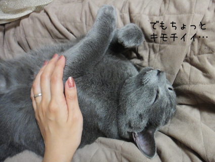 20111105_2.jpg