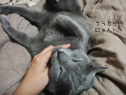 20111105_3.jpg