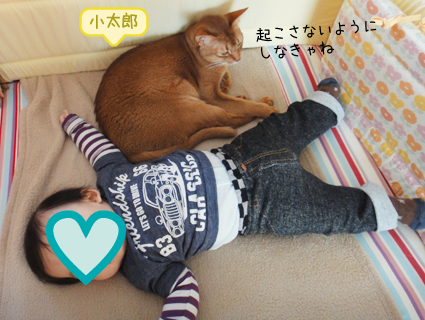 20130212_1.jpg