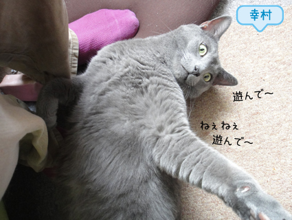 20130212_2.jpg