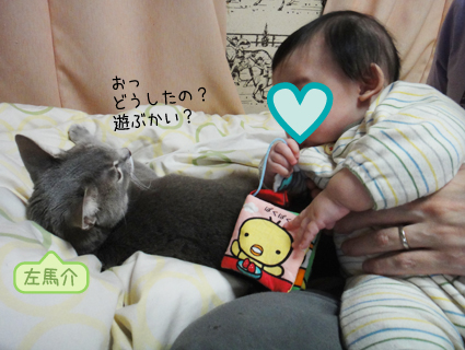 20130212_3.jpg