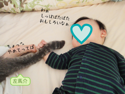 20130212_5.jpg