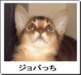 jobailo.gif