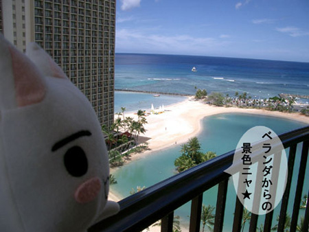 トロとハワイの海