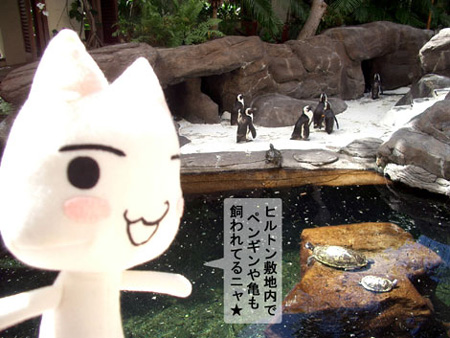 トロとペンギン