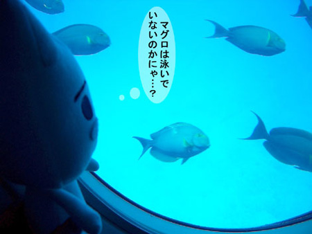 トロと潜水艦1