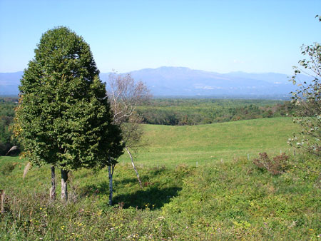 軽井沢3