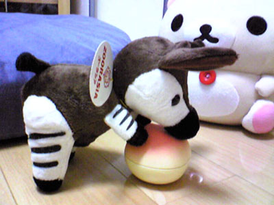 オカピ3