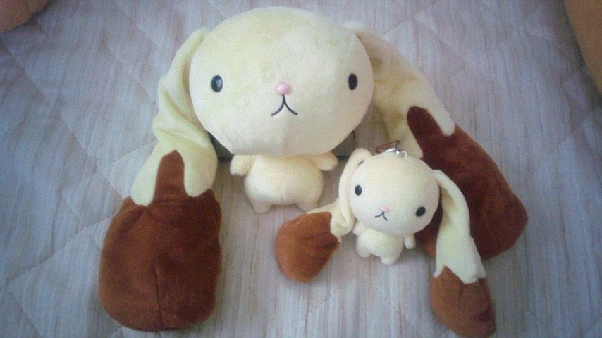 ろっぷん購入1