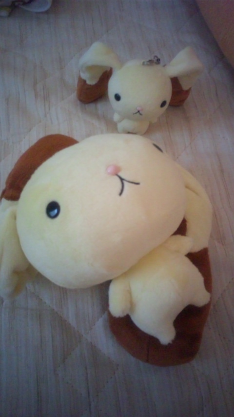 ろっぷん購入2