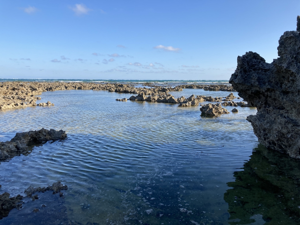 2023年02月の記事 | 沖縄 心理カウンセリング~潜在意識紀行