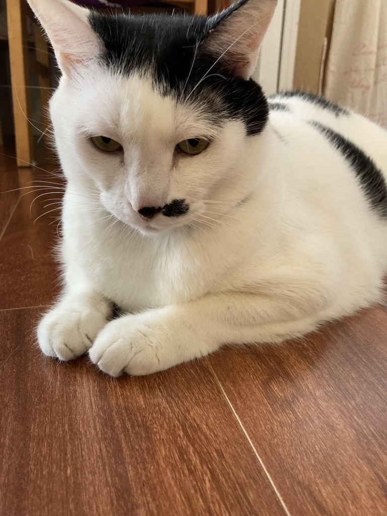 2023年05月02日の記事 | 沖縄 心理カウンセリング~潜在意識紀行