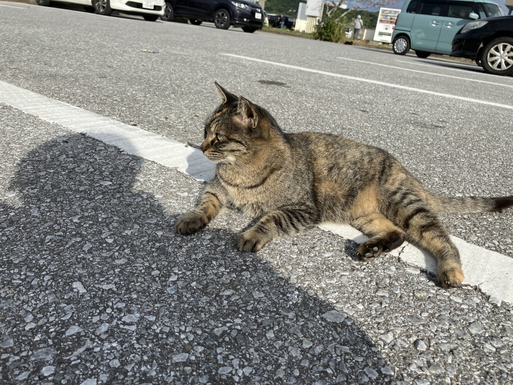 2023年11月03日の記事 | 沖縄 心理カウンセリング~潜在意識紀行