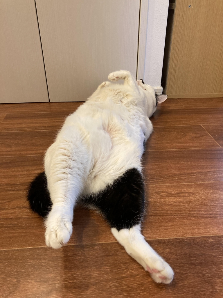 2023年11月08日の記事 | 沖縄 心理カウンセリング~潜在意識紀行