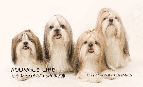 family.gif